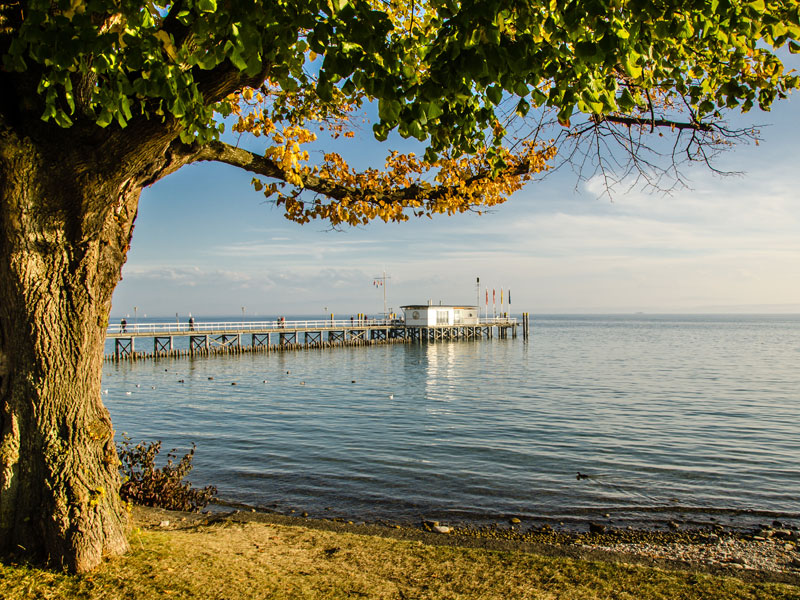 Bodensee in Hagnau - Gasthaus Grüner Berg